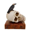 New 🤩 Flora Bunda 6.5 In. X 8 In. 💀 Halloween Decor Polyresin Black Crow And Skull With Book ✨ -Halloween-Decorations Sales unnamed file 1008