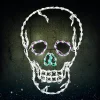 Best Pirce 🌟 HOLIDYNAMICS HOLIDAY LIGHTING SOLUTIONS 37 In. Lighted LED Skull 🥰 -Halloween-Decorations Sales unnamed file 1055