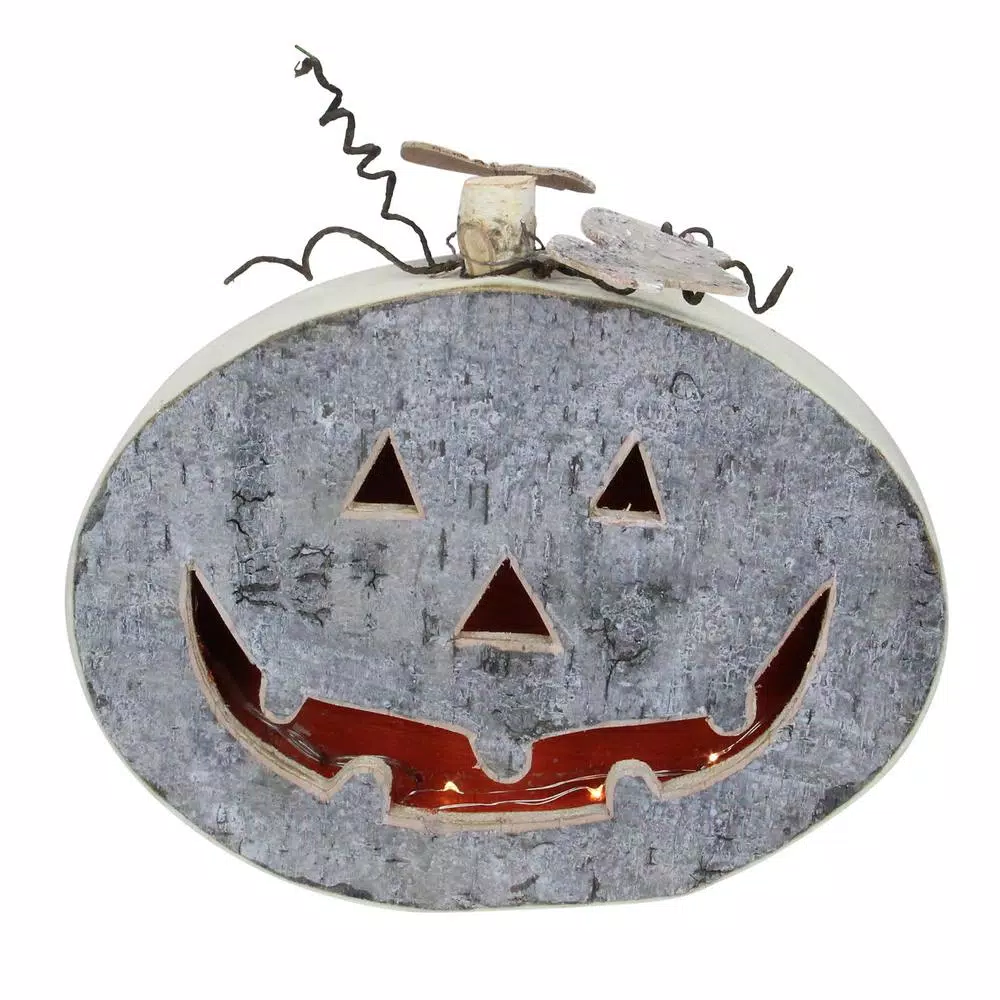 Wholesale π€© Northlight 10.5 In. π¦ Halloween Gray LED Battery Operated Jack-O-Lantern Table Top Decoration π 3 Wholesale π€© Northlight 10.5 In. π¦ Halloween Gray LED Battery Operated Jack-O-Lantern Table Top Decoration π