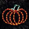 Top 10 🔔 HOLIDYNAMICS HOLIDAY LIGHTING SOLUTIONS 14 In. Lighted LED Little Pumpkin 🥰
