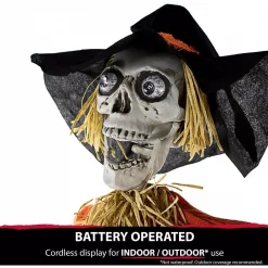 Brand new 💯 Haunted Hill Farm 5 Ft. Animatronic Skeleton Scarecrow 💀 Halloween Prop 😀 -Halloween-Decorations Sales unnamed file 192
