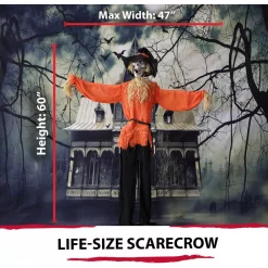 Brand new 💯 Haunted Hill Farm 5 Ft. Animatronic Skeleton Scarecrow 💀 Halloween Prop 😀 -Halloween-Decorations Sales unnamed file 193