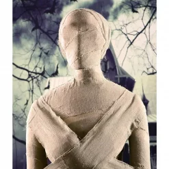 Best deal 💯 Haunted Hill Farm 5 Ft. Standing Wrapped Mummy 🧛 Halloween Prop 😍 -Halloween-Decorations Sales unnamed file 259
