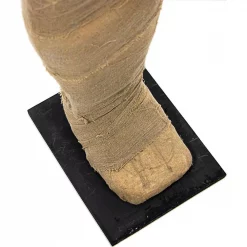 Best deal 💯 Haunted Hill Farm 5 Ft. Standing Wrapped Mummy 🧛 Halloween Prop 😍 -Halloween-Decorations Sales unnamed file 263
