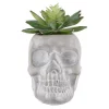 New 🥰 Flora Bunda 5 In. X 3 In. 🦇 Halloween Artificial Succulent In Gray Cement Sugar Skull 🧨 -Halloween-Decorations Sales unnamed file 326