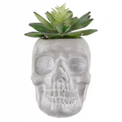 New 🥰 Flora Bunda 5 In. X 3 In. 🦇 Halloween Artificial Succulent In Gray Cement Sugar Skull 🧨