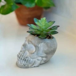 New ๐ฅฐ Flora Bunda 5 In. X 3 In. ๐ฆ Halloween Artificial Succulent In Gray Cement Sugar Skull ๐งจ 8 New ๐ฅฐ Flora Bunda 5 In. X 3 In. ๐ฆ Halloween Artificial Succulent In Gray Cement Sugar Skull ๐งจ -Halloween-Decorations Sales unnamed file 328