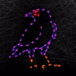 Best reviews of ✨ HOLIDYNAMICS HOLIDAY LIGHTING SOLUTIONS Holidynamics, 🎃 Halloween Yard Decoration 24 In. LED Redeye Raven 🧨