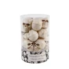 Discount 💯 Flora Bunda 3 In. 🧛 Halloween Mini Natural Plastic Skulls Fillers In PVC Gift Box (12-Pices Per Box) 🤩 -Halloween-Decorations Sales unnamed file 378