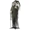 Best deal 😍 Haunted Hill Farm 6 Ft. Animatronic Talking Witch 🦇 Halloween Prop 🎁
