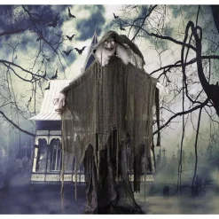 Best deal 😍 Haunted Hill Farm 6 Ft. Animatronic Talking Witch 🦇 Halloween Prop 🎁 -Halloween-Decorations Sales unnamed file 417