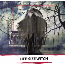 Best deal 😍 Haunted Hill Farm 6 Ft. Animatronic Talking Witch 🦇 Halloween Prop 🎁 -Halloween-Decorations Sales unnamed file 419