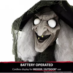Best deal 😍 Haunted Hill Farm 6 Ft. Animatronic Talking Witch 🦇 Halloween Prop 🎁 -Halloween-Decorations Sales unnamed file 420