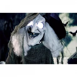 Best deal 😍 Haunted Hill Farm 6 Ft. Animatronic Talking Witch 🦇 Halloween Prop 🎁 -Halloween-Decorations Sales unnamed file 423