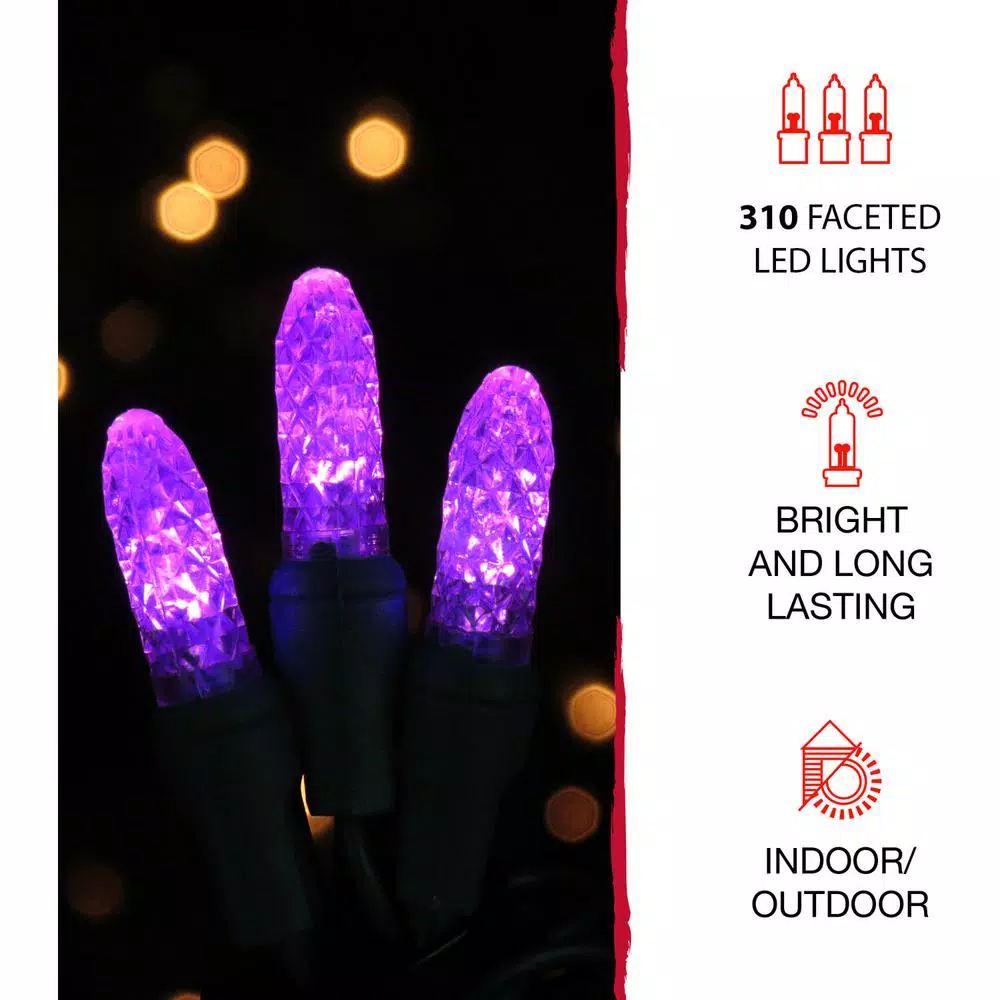 Best reviews of โ๏ธ Haunted Hill Farm 48 In. X 48 In. Wicked Witch On A Broom Indoor/Outdoor LED ๐ Halloween Window Light ๐คฉ 6 Best reviews of โ๏ธ Haunted Hill Farm 48 In. X 48 In. Wicked Witch On A Broom Indoor/Outdoor LED ๐ Halloween Window Light ๐คฉ - Image 4