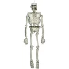 Best deal 🔔 Amscan 54 In. 🧛 Halloween Life Size Skeleton 🤩