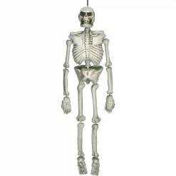 Best deal 🔔 Amscan 54 In. 🧛 Halloween Life Size Skeleton 🤩
