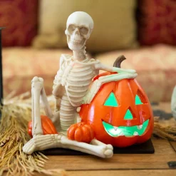 Hot Sale 🎉 Flora Bunda 9 In. X 7 In. 🧛 Halloween Lighted Polyresin Skeleton And Orange Pumpkin With Color Changing LED Lights 😉 -Halloween-Decorations Sales unnamed file 542
