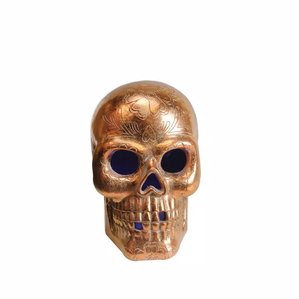 Best Pirce π₯° Northlight 14 In. LED Copper Metallic Day Of The Dead Skull π 3 Best Pirce π₯° Northlight 14 In. LED Copper Metallic Day Of The Dead Skull π