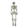 Cheap 🤩 Worth Imports 60 In. 🦇 Halloween Life Size Hanging Skeleton ❤️ -Halloween-Decorations Sales unnamed file 561