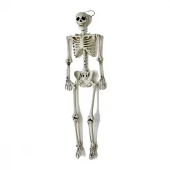 Cheap 🤩 Worth Imports 60 In. 🦇 Halloween Life Size Hanging Skeleton ❤️