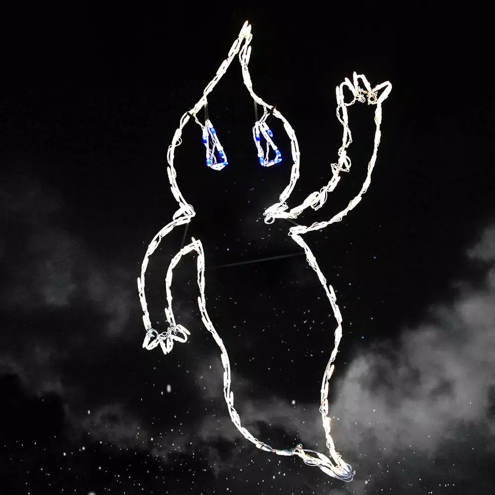 Budget β HOLIDYNAMICS HOLIDAY LIGHTING SOLUTIONS 51 In. Lighted LED Spooky Ghost 𧨠3 Budget β HOLIDYNAMICS HOLIDAY LIGHTING SOLUTIONS 51 In. Lighted LED Spooky Ghost π§¨