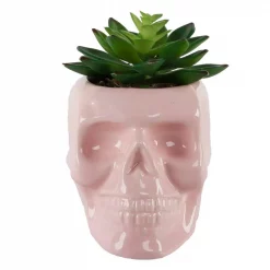 Coupon ✔️ Flora Bunda 4.5 In. X 3.5 In. Artificial Succulent In Pink Ceramic Sugar Skull 👍