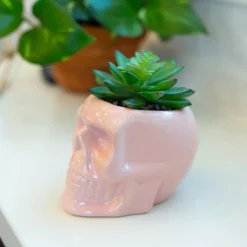 Coupon ✔️ Flora Bunda 4.5 In. X 3.5 In. Artificial Succulent In Pink Ceramic Sugar Skull 👍 -Halloween-Decorations Sales unnamed file 620