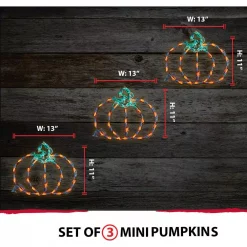 Hot Sale 👏 Haunted Hill Farm Mini Pumpkins Indoor/Outdoor LED 🦇 Halloween Window Lights (Set Of 3) 😉 -Halloween-Decorations Sales unnamed file 65
