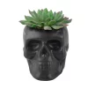 Outlet 💯 Flora Bunda 4.5 In. X 3.5 In. Artificial Succulent In Matte Black Ceramic Sugar Skull 🔔 -Halloween-Decorations Sales unnamed file 654