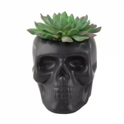 Outlet 💯 Flora Bunda 4.5 In. X 3.5 In. Artificial Succulent In Matte Black Ceramic Sugar Skull 🔔