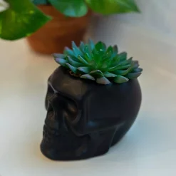 Outlet 💯 Flora Bunda 4.5 In. X 3.5 In. Artificial Succulent In Matte Black Ceramic Sugar Skull 🔔 -Halloween-Decorations Sales unnamed file 657