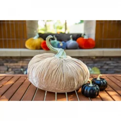 Promo 😍 Flora Bunda 3 In. 🧛 Halloween Black Plastic Pumpkins Fillers In PVC Gift Box (8-Pieces Per Box) 🌟 -Halloween-Decorations Sales unnamed file 678