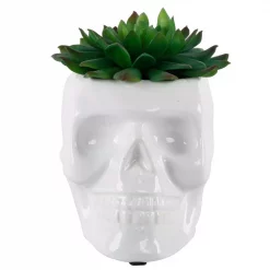 Wholesale ✔️ Flora Bunda 4.5 In. X 3.5 In. Artificial Succulent In White Ceramic Sugar Skull 🤩