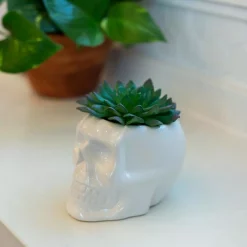 Wholesale ✔️ Flora Bunda 4.5 In. X 3.5 In. Artificial Succulent In White Ceramic Sugar Skull 🤩 -Halloween-Decorations Sales unnamed file 779