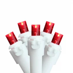 Best reviews of 🔥 Sienna 1 In. Red LED Wide Angle 🎄 Christmas Lights With White Wire (Set Of 60) 🔥