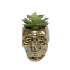 Deals 🎉 Flora Bunda 5.1 In. X 4 In. Artificial Succulent In Metallic Gold Ceramic Sugar Skull ❤️ -Halloween-Decorations Sales unnamed file 801