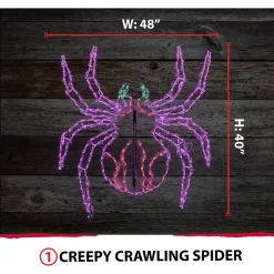 Brand new 🤩 Haunted Hill Farm 48 In. X 40 In. Creepy Crawling Spider Indoor/Outdoor LED 🦇 Halloween Window Light 🧨 -Halloween-Decorations Sales unnamed file 821