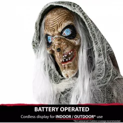 Wholesale ✔️ Haunted Hill Farm 5 Ft. Animatronic Talking Evil Witch 🎃 Halloween Prop ❤️ -Halloween-Decorations Sales unnamed file 892