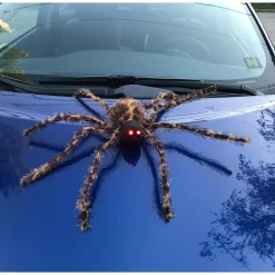 Wholesale 🎉 Worth Imports 22 In. Brown Spider With Lighted Eyes (Set Of 2) 👏 -Halloween-Decorations Sales unnamed file 98
